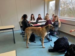 26-03-26 11-19-19 2273